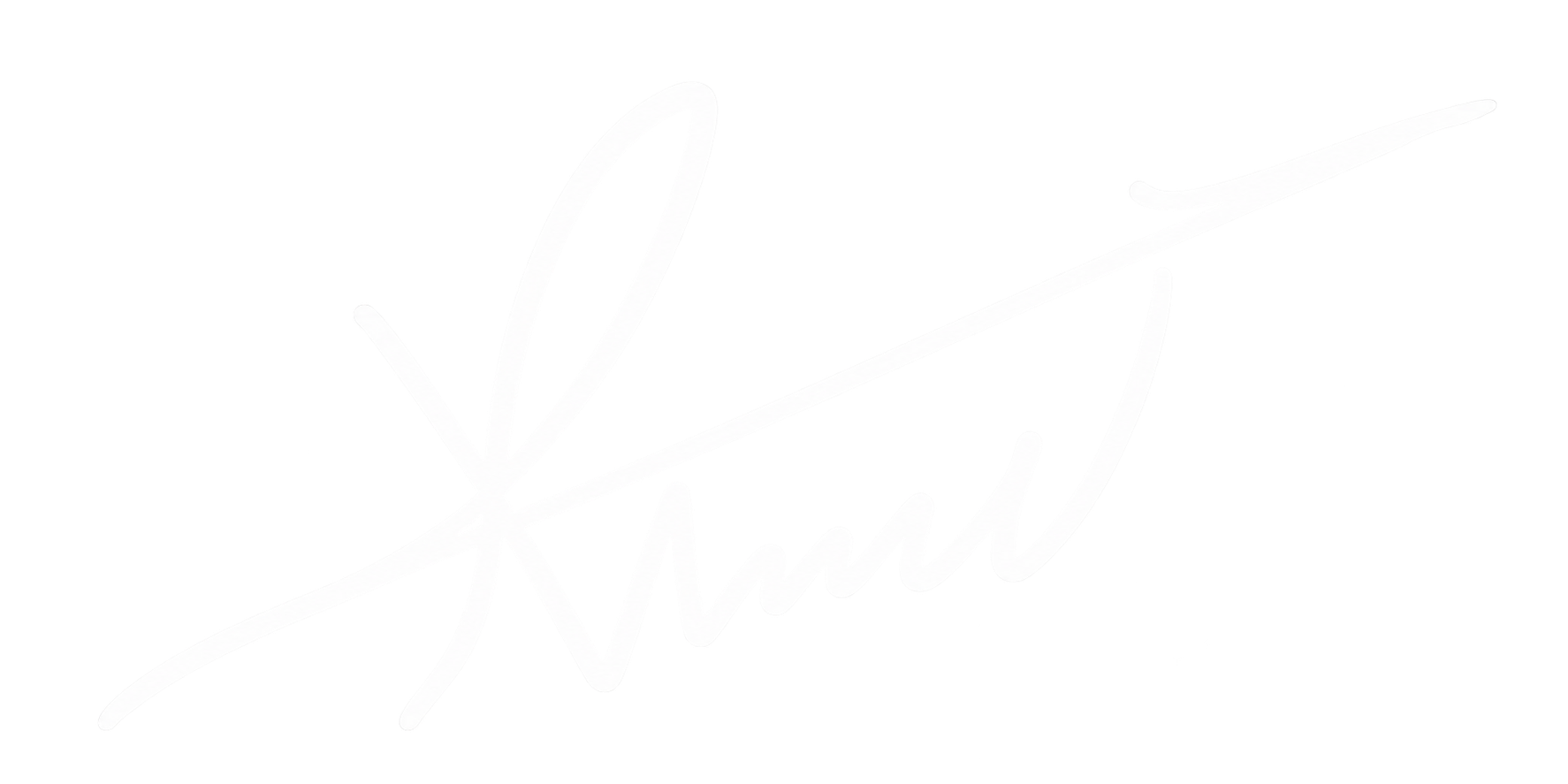 Ahmed Abdelmohssen's signature